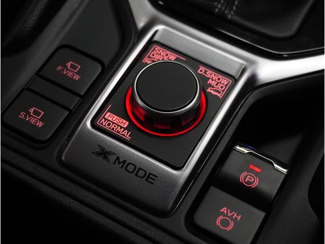 フォレスター X-Edition アイサイト パワーリヤゲート(21枚目)