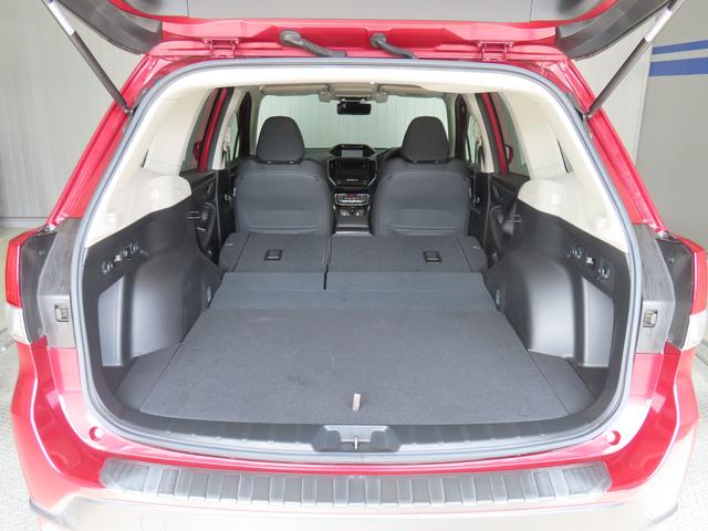 フォレスター アドバンス アイサイト 8インチナビ 純正ドラレコ(23枚目)