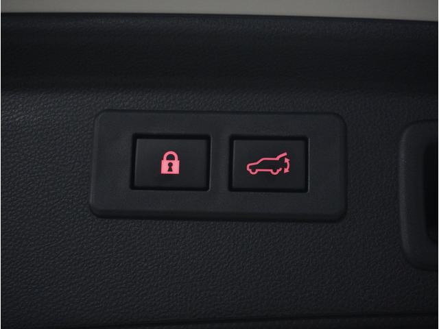 フォレスター Advance EyeSight 視界拡張 パワーリヤゲート(15枚目)