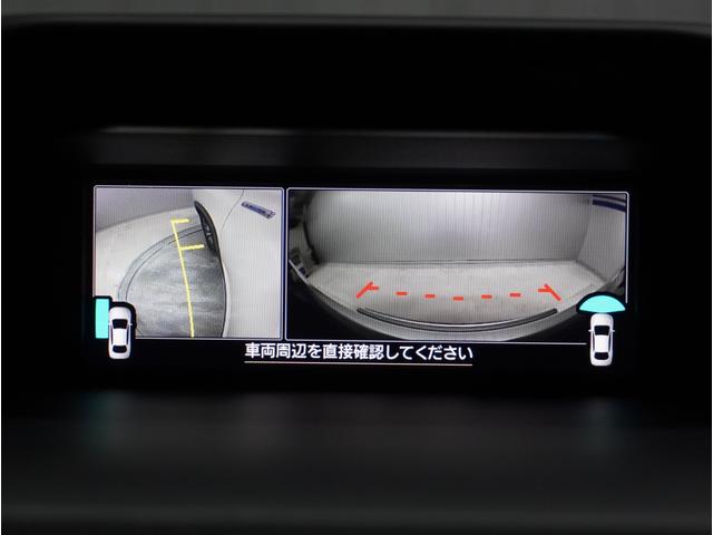 フォレスター Advance EyeSight 視界拡張 パワーリヤゲート(20枚目)