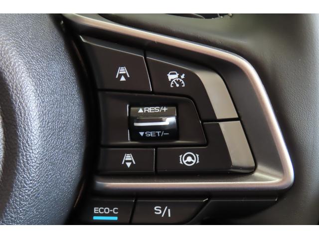 フォレスター Ａｄｖａｎｃｅ　ＰＷリヤゲート　視界拡張搭載（27枚目）