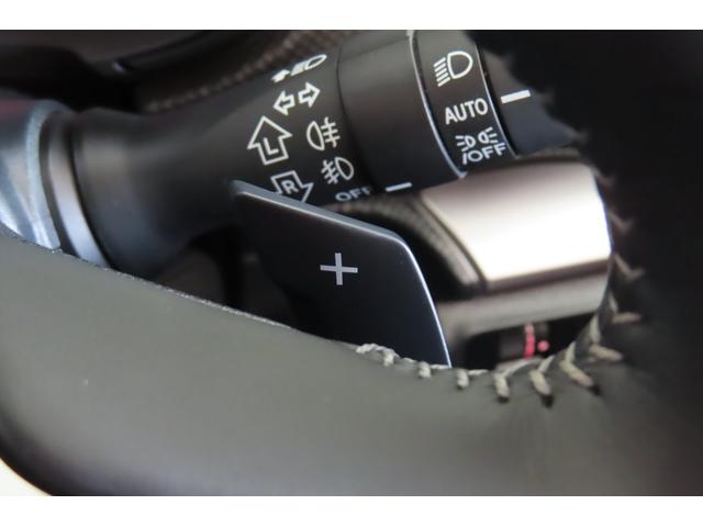 フォレスター Ａｄｖａｎｃｅ　ＰＷリヤゲート　視界拡張搭載（29枚目）