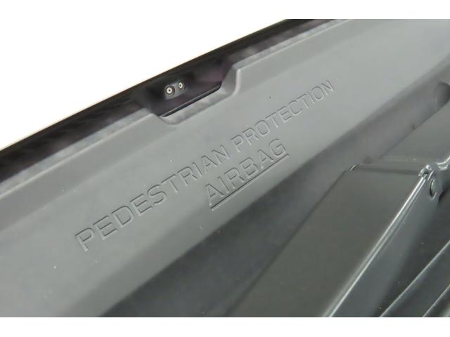 フォレスター Ａｄｖａｎｃｅ　ＰＷリヤゲート　視界拡張搭載（42枚目）