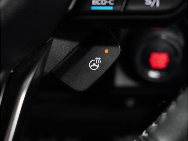 フォレスター Advance 本革シート パワーリヤゲート搭載(22枚目)