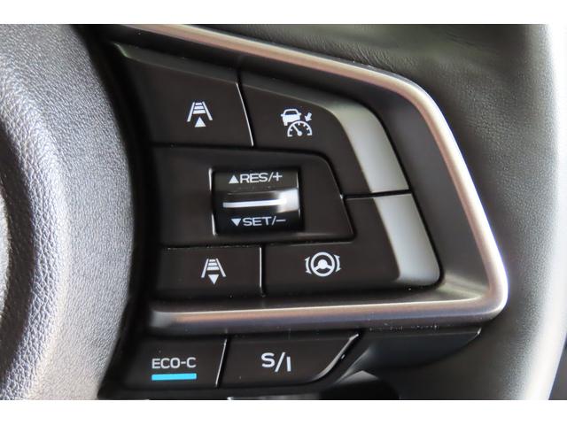 フォレスター Advance 新世代アイサイト 視界拡張 ルーフレール搭載(27枚目)