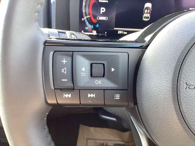 エクストレイル 1.5 G e-4ORCE 4WD 当社試乗車UPプロパイロットアラウンドビュ 試乗車 パークアシスト 寒冷地仕様 LEDヘッドランプ ナビTV スマートキー レーダークルーズ LKA キーフリー ETC 4WD アルミホイール メモリーナビ 記録簿 バックカメラ サイドカメラ(19枚目)