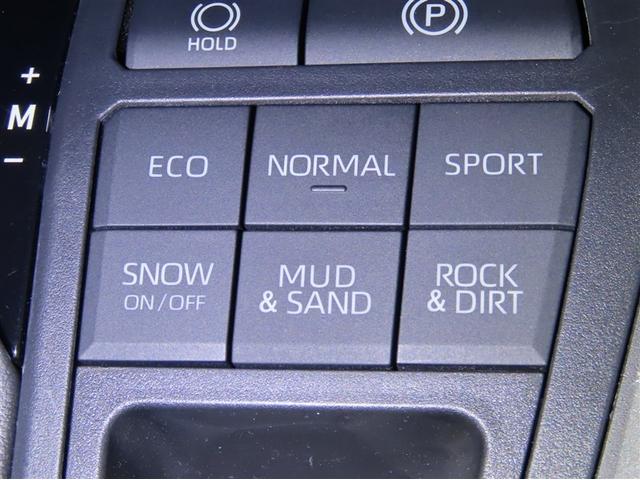 ＲＡＶ４ Ｇ　ムーンルーフ　ディスプレイオーディオ　フルセグＴＶ　パノラミックビューモニター　シートヒーター＆ベンチレーション　パワーバックドア　衝突軽減ブレーキ　踏み間違い制御装置　オートハイビーム　寒冷地仕様（31枚目）