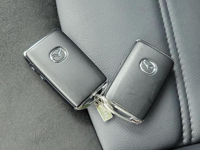 ＣＸ－３ ＸＤビビッドモノトーン　純正　ＳＤナビ／アイアクティブセンス（マツダ）／シートヒーター　前席／全方位モニター／車線逸脱防止支援システム／シート　ハーフレザー／ドライブレコーダー　前後／ヘッドランプ　ＬＥＤ／ＵＳＢジャック（43枚目）