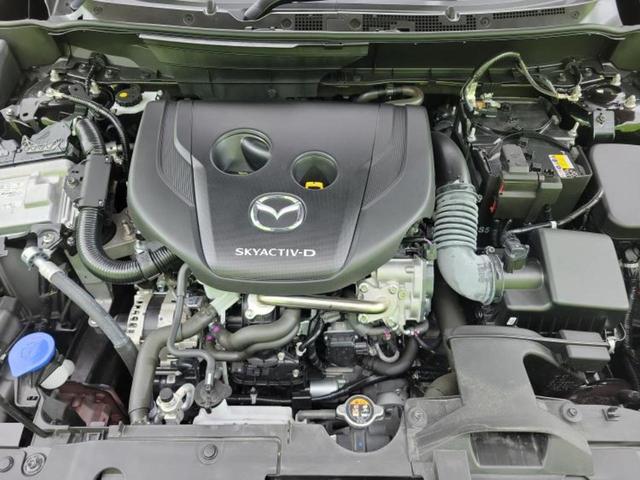 ＣＸ－３ ＸＤビビッドモノトーン　純正　ＳＤナビ／アイアクティブセンス（マツダ）／シートヒーター　前席／全方位モニター／車線逸脱防止支援システム／シート　ハーフレザー／ドライブレコーダー　前後／ヘッドランプ　ＬＥＤ／ＵＳＢジャック（57枚目）