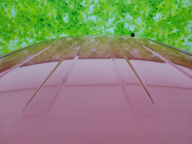 デイズルークス ハイウェイスターX 新品タイヤ/純正 SDナビ/電動スライドドア/アラウンドビューモニター/ドライブレコーダー 純正/ヘッドランプ HID/Bluetooth接続/ETC/アイドリングストップ/フルセグTV/DVD(47枚目)