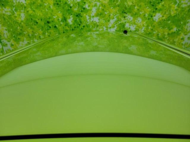 ウェイク L SA3 新品タイヤ/ディスプレイオーディオ/スマートアシスト(トヨタ・ダイハツ)/両側電動スライドドア/Bluetooth接続/ETC/横滑り防止装置/アルミホイール 純正 14インチ 衝突被害軽減システム(46枚目)