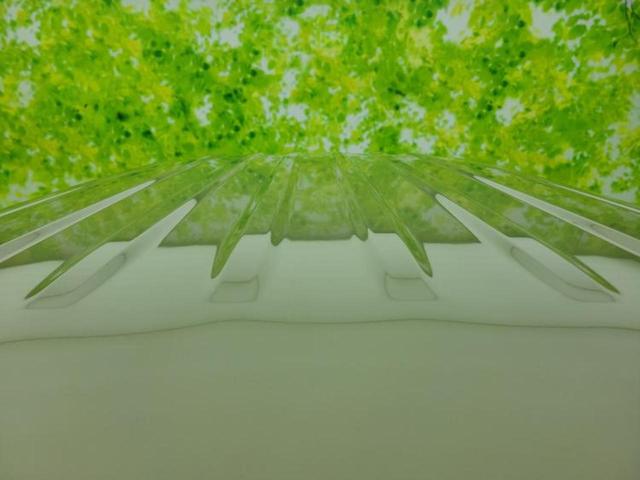 Ｎ－ＶＡＮ＋スタイル ファン　新品タイヤ／保証書／ホンダセンシング／車線逸脱防止支援システム／ヘッドランプ　ＬＥＤ／ＵＳＢジャック／ＥＴＣ／横滑り防止装置／アイドリングストップ／エアバッグ　運転席／エアバッグ　助手席　オートライト（45枚目）