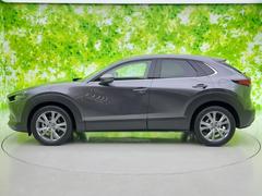 �ףţã��ңӤκ߸˥ڡ������������������ˤ��꤬�Ȥ��������ޤ����ףţã��ңӤϡ֤��������פ��åȡ��ˤ����ͤΥ����饤�դ����Ϥǥ��ݡ��Ȥ������ޤ��� 2