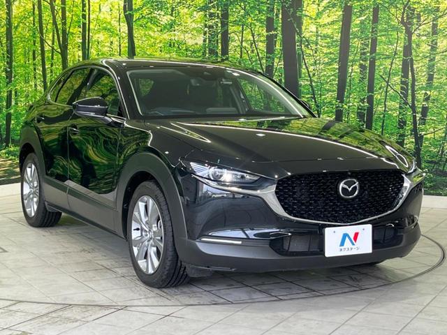 ＣＸ－３０ ２０Ｓ　プロアクティブ　ツーリングセレクション　禁煙車　純正８型ナビ　スマートブレーキサポート　全周囲カメラ　レーダークルーズ　Ｂｌｕｅｔｏｏｔｈ　フルセグ　ＥＴＣ　シートヒーター　パワーシート　ＬＥＤヘッド　パワーバックドア　ドラレコ（17枚目）