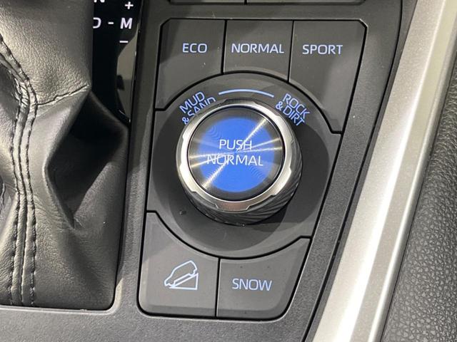 RAV4 アドベンチャー オフロードパッケージ 純正9型ディスプレイオーディオ バックカメラ セーフティセンス 禁煙車 シートベンチレーション パワーシート 合皮シート ETC ドラレコ スマートキー LEDヘッド オートライト オートエアコン(53枚目)