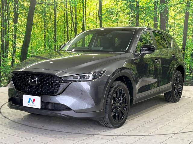 CX-5 XD ブラックトーンエディション ターボ 純正10型ナビ 全周囲カメラ スマートブレーキサポート レーダークルーズ 禁煙車 電動リアゲート ハーフレザーシート パワーシート シートヒーター ドラレコ コーナーセンサー スマートキー(21枚目)
