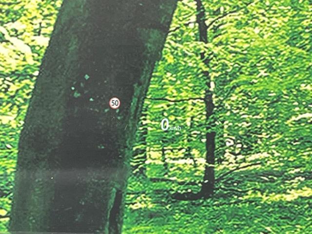 CX-5 XD ブラックトーンエディション ターボ 純正10型ナビ 全周囲カメラ スマートブレーキサポート レーダークルーズ 禁煙車 電動リアゲート ハーフレザーシート パワーシート シートヒーター ドラレコ コーナーセンサー スマートキー(54枚目)