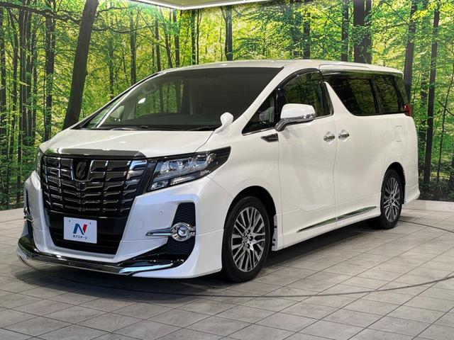 アルファード ２．５Ｓ　Ｃパッケージ　モデリスタフルエアロ　両側電動スライド　純正１０型ナビ　バックカメラ　禁煙車　電動リヤゲート　クルコン　ハーフレザーシート　パワーシート　ＬＥＤヘッド　オートライト　純正１８インチＡＷ　オートエアコン（22枚目）