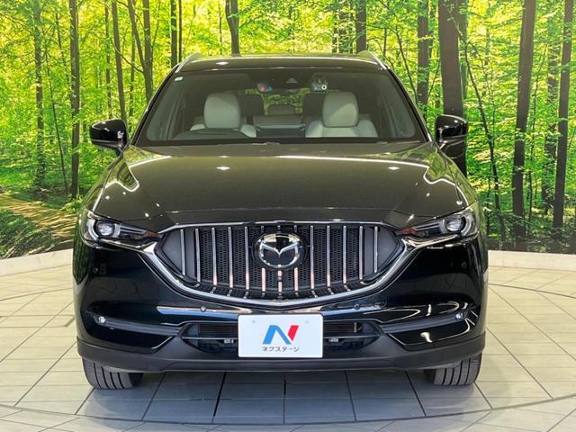ＣＸ－８ ２５Ｓ　Ｌパッケージ　１１型ＢＩＧ－Ｘ　サイド・バックカメラ　スマートブレーキサポート　レーダークルーズ　禁煙車　電動リアゲート　レザーシート　シートベンチレーション　ドラレコ　オートライト　ルーフレール（15枚目）