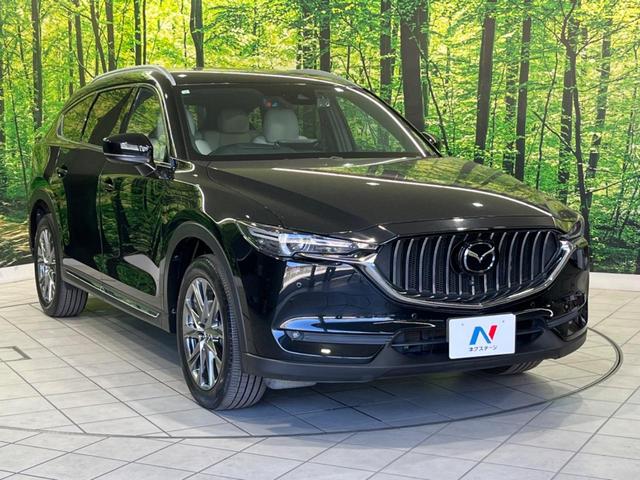 ＣＸ－８ ２５Ｓ　Ｌパッケージ　１１型ＢＩＧ－Ｘ　サイド・バックカメラ　スマートブレーキサポート　レーダークルーズ　禁煙車　電動リアゲート　レザーシート　シートベンチレーション　ドラレコ　オートライト　ルーフレール（17枚目）