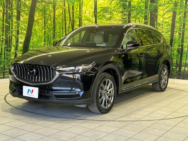 ＣＸ－８ ２５Ｓ　Ｌパッケージ　１１型ＢＩＧ－Ｘ　サイド・バックカメラ　スマートブレーキサポート　レーダークルーズ　禁煙車　電動リアゲート　レザーシート　シートベンチレーション　ドラレコ　オートライト　ルーフレール（22枚目）