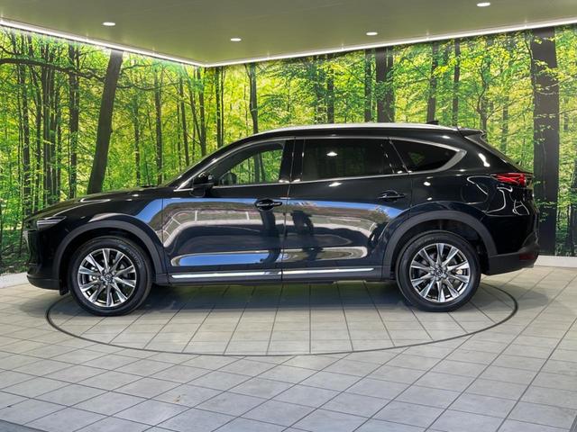 ＣＸ－８ ２５Ｓ　Ｌパッケージ　１１型ＢＩＧ－Ｘ　サイド・バックカメラ　スマートブレーキサポート　レーダークルーズ　禁煙車　電動リアゲート　レザーシート　シートベンチレーション　ドラレコ　オートライト　ルーフレール（25枚目）