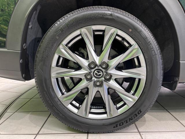 ＣＸ－８ ２５Ｓ　Ｌパッケージ　１１型ＢＩＧ－Ｘ　サイド・バックカメラ　スマートブレーキサポート　レーダークルーズ　禁煙車　電動リアゲート　レザーシート　シートベンチレーション　ドラレコ　オートライト　ルーフレール（31枚目）