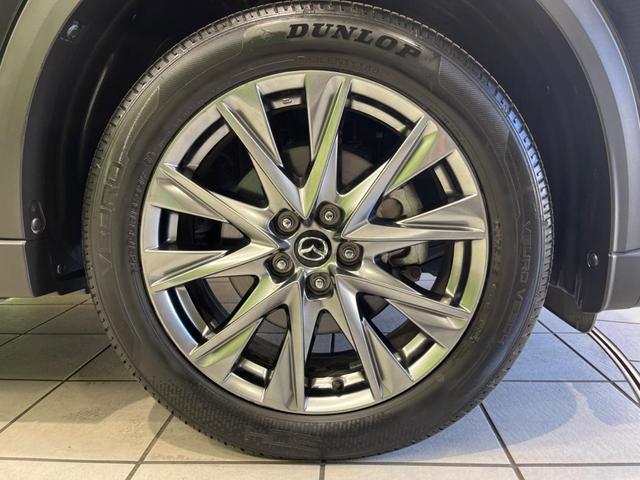 ＣＸ－８ ２５Ｓ　Ｌパッケージ　１１型ＢＩＧ－Ｘ　サイド・バックカメラ　スマートブレーキサポート　レーダークルーズ　禁煙車　電動リアゲート　レザーシート　シートベンチレーション　ドラレコ　オートライト　ルーフレール（32枚目）