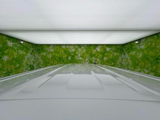 タント 4WD X 保証書/社外 SDナビ/衝突安全装置/電動スライドドア/シートヒーター/車線逸脱防止支援システム/ヘッドランプ LED/Bluetooth接続/EBD付ABS/横滑り防止装置/アイドリングストップ(43枚目)