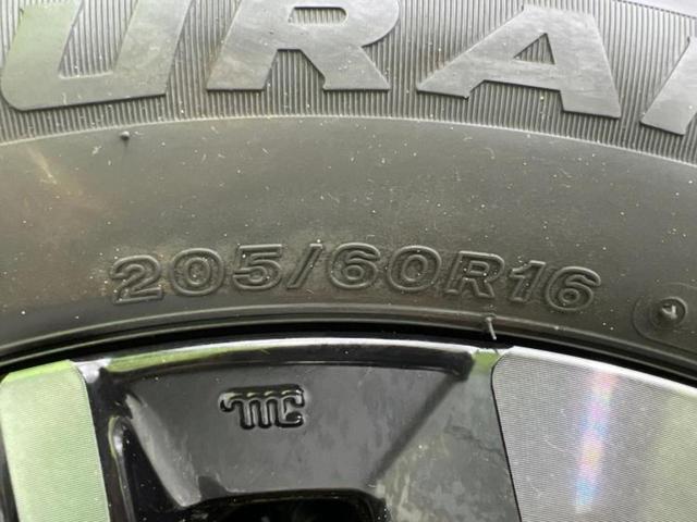 �u���̎Ԃ̎ʐ^�������ƌ������v�u��Ԃ��C�ɂȂ�v�u���̑����͂��Ă���H�v�ǂ�ȏ����ȋ^��ł����C�y�ɂ��₢���킹���������I