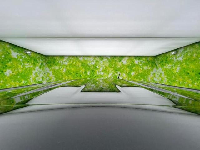 タント ４ＷＤカスタムＲＳ　新品タイヤ／保証書／純正　９インチ　ＳＤナビ／衝突安全装置／両側電動スライドドア／シートヒーター／車線逸脱防止支援システム／シート　ハーフレザー／ドライブレコーダー　純正／ヘッドランプ　ＬＥＤ　４ＷＤ（42枚目）