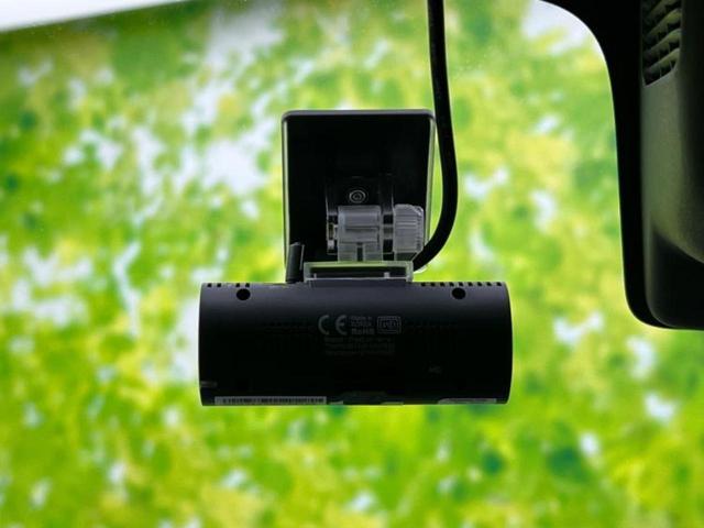 �u���̎Ԃ̎ʐ^�������ƌ������v�u��Ԃ��C�ɂȂ�v�u���̑����͂��Ă���H�v�ǂ�ȏ����ȋ^��ł����C�y�ɂ��₢���킹���������I