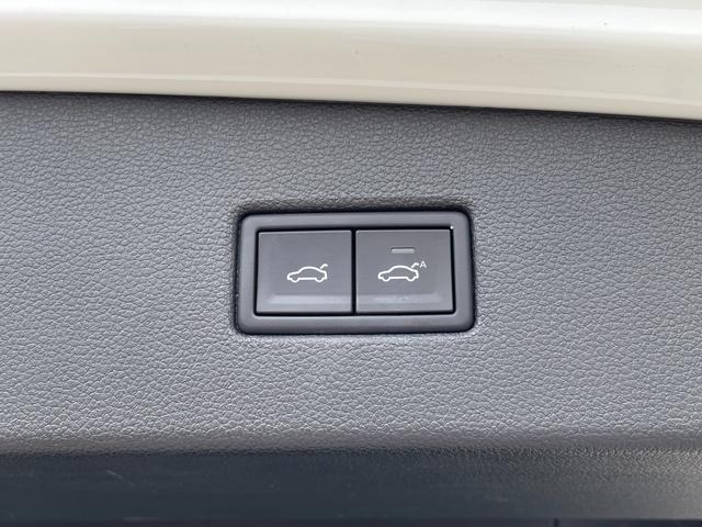 ティグアン ＴＤＩ　４モーション　Ｒライン　純正ナビ　フルセグＴＶ　ＣＤ／ＤＶＤ再生　Ｂｌｕｅｔｏｏｔｈ接続　レザーシート　前席シートヒーター　Ｄ席電動パワーシート　アダプティブクルーズコントロール　ブラインドスポットモニター　レーンキープ（32枚目）