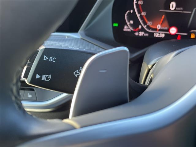 X5 xDrive 35d Mスポーツ 純正ナビ 360°カメラ Bluetooth接続 AppleCarPlay AndoroidoAuto フルセグTV ブラインドスポットモニター レーンキープアシスト アダプティブクルーズコントロール(9枚目)