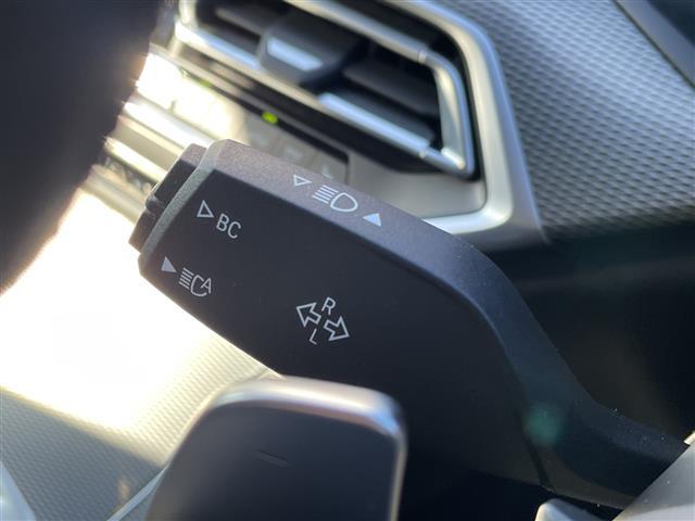 X5 xDrive 35d Mスポーツ 純正ナビ 360°カメラ Bluetooth接続 AppleCarPlay AndoroidoAuto フルセグTV ブラインドスポットモニター レーンキープアシスト アダプティブクルーズコントロール(10枚目)