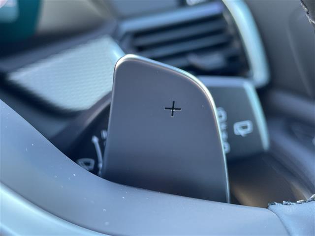 X5 xDrive 35d Mスポーツ 純正ナビ 360°カメラ Bluetooth接続 AppleCarPlay AndoroidoAuto フルセグTV ブラインドスポットモニター レーンキープアシスト アダプティブクルーズコントロール(14枚目)