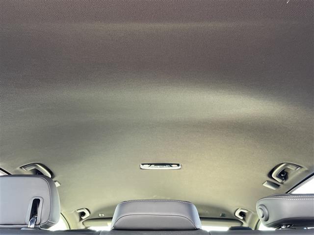 X5 xDrive 35d Mスポーツ 純正ナビ 360°カメラ Bluetooth接続 AppleCarPlay AndoroidoAuto フルセグTV ブラインドスポットモニター レーンキープアシスト アダプティブクルーズコントロール(33枚目)