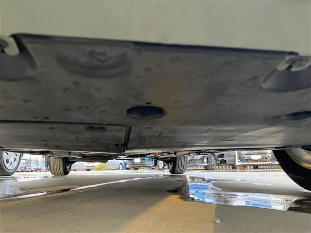 �t�����g���猩�������