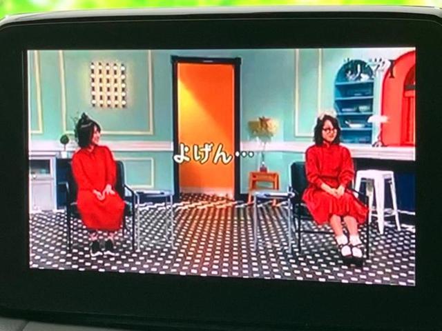 CX-3 20Sプロアクティブ 保証書/純正 SDナビ/衝突安全装置/車線逸脱防止支援システム/シート ハーフレザー/ヘッドランプ LED/Bluetooth接続/ETC/EBD付ABS/横滑り防止装置/アイドリングストップ 記録簿(13枚目)