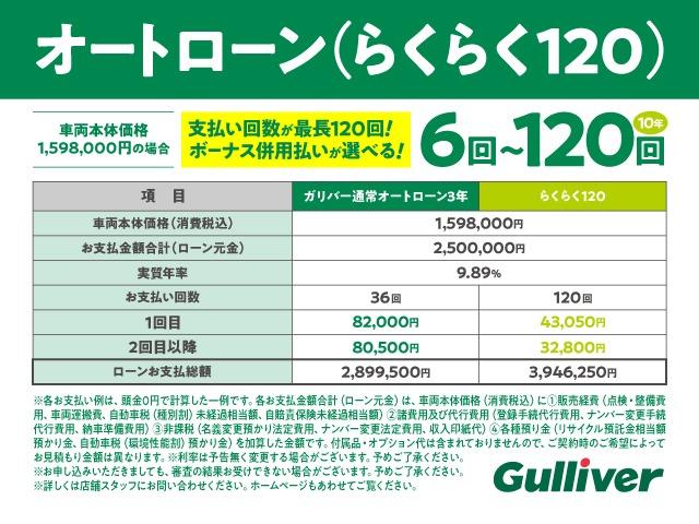 Ｇ・ターボＡパッケージ　安心パッケージ　社外ナビ　ワンセグ　ラジオ　ＣＤ　ＤＶＤ　バックカメラ　クルーズコントロール　ステアリングスイッチ　パドルシフト　アイドリングストップ　ターボ　電動格納ミラー　ウインカーミラー(55枚目)