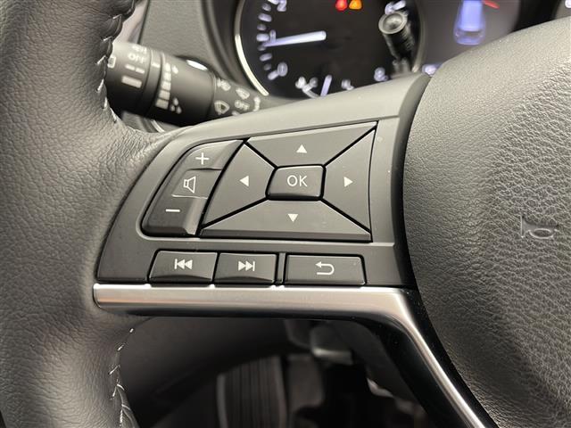 エクストレイル ２０Ｘｉ　社外ナビ　ＡＭ／ＦＭ／ＣＤ／ＤＶＤ／ＳＤ／ＵＳＢ／ＢＴ　フルセグＴＶ　アラウンドビューカメラ　プロパイロット　レーンキープアシスト　エマージェンシーブレーキ　パワーバックドア　シートヒーター（10枚目）