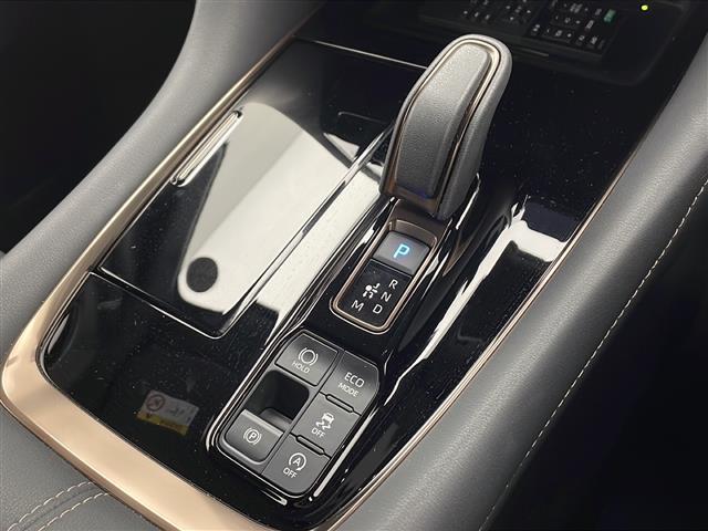 ヴェルファイア Ｚ　プレミア（19枚目）