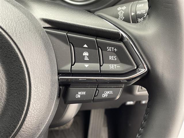 ＣＸ－５ ＸＤ　スマートエディション　純正ナビ　レーダークルーズコントロール　レーンキープアシスト　衝突被害軽減ブレーキ　クリアランスソナー　ヘッドアップディスプレイ　ブラインドスポットモニター　電動パーキング　オートハイビーム（14枚目）