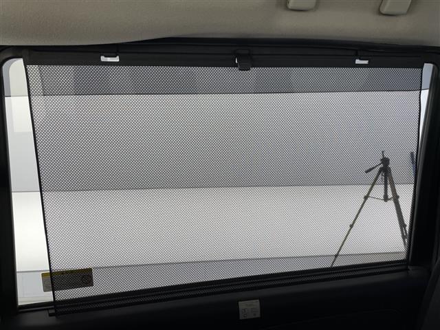 セレナ ハイウェイスター　純正９インチＳＤナビ　フルセグＴＶ　Ｂｌｕｅｔｏｏｔｈ　ＣＤ　ＤＶＤ　バックカメラ　全方位カメラ　ＥＴＣ　両側パワースライドドア　クルーズコントロール　ステアリングリモコン　衝突被害軽減システム（27枚目）