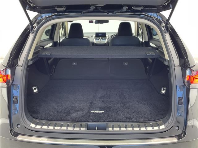 ＮＸ ＮＸ２００ｔ　純正メーカーナビ　フルセグＴＶ　ＢＴ　ＣＤ　ＤＶＤ　ＡＵＸ　バックカメラ　　衝突軽減ブレーキ　レーダークルーズコントロール　前後ドライブレコーダー　前席パワーシート　アイドリングストップ（29枚目）