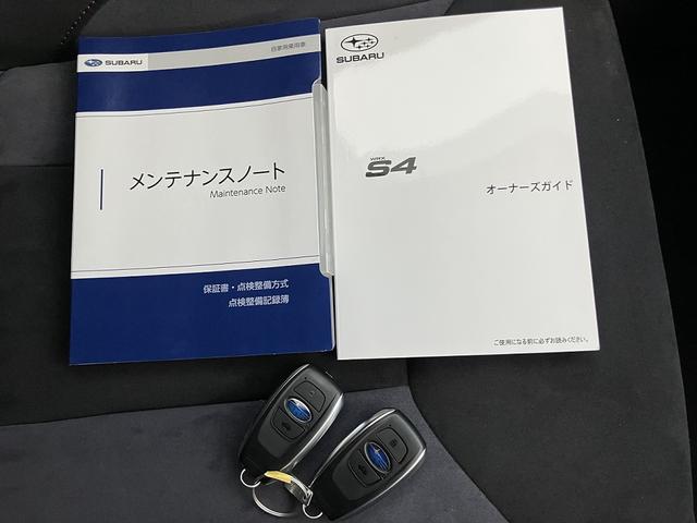 WRX S4 GT-H EX 後付け大型Rスポイラ- STIエアロ(60枚目)