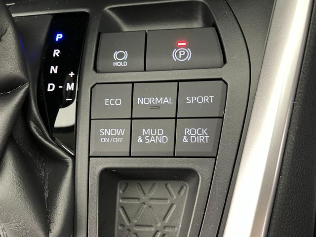 ＲＡＶ４ Ｘ　ひょう害車　トヨタセーフティセンス　レーダークルコン　ブラインドスポットモニター　ディスプレイオーディオ　ＬＥＤヘッドライト　ＥＴＣ２．０　バックモニター　ウィンドシールドデアイサー　スマートキー（18枚目）