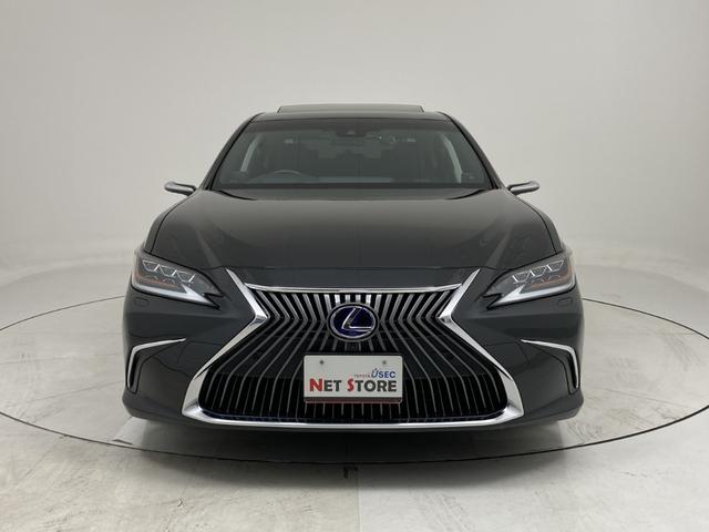 ES ES300h バージョンL レクサスセーフティシステム 本革シート サンルーフ マークレビンソン デジタルインナーミラー デジタルアウターミラー 全周囲モニター ディスプレイオーディオナビ ETC2.0 シートエアコン(42枚目)