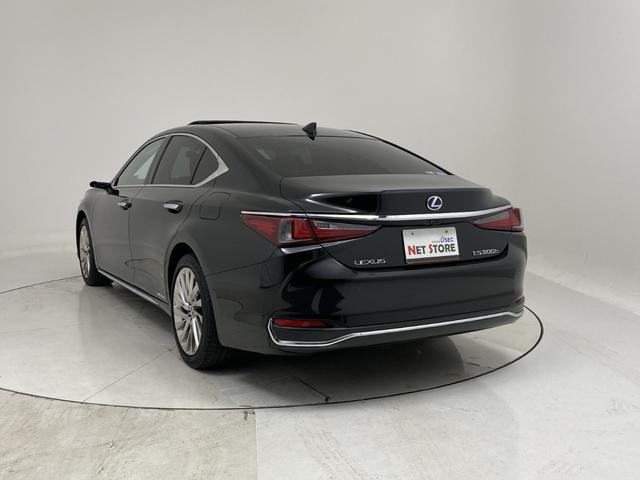 ES ES300h バージョンL レクサスセーフティシステム 本革シート サンルーフ マークレビンソン デジタルインナーミラー デジタルアウターミラー 全周囲モニター ディスプレイオーディオナビ ETC2.0 シートエアコン(44枚目)