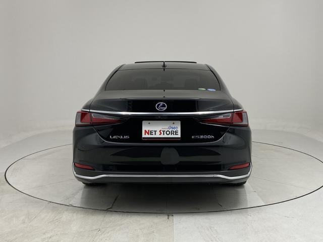 ES ES300h バージョンL レクサスセーフティシステム 本革シート サンルーフ マークレビンソン デジタルインナーミラー デジタルアウターミラー 全周囲モニター ディスプレイオーディオナビ ETC2.0 シートエアコン(45枚目)